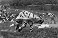 Bread & Puppet's Our Annual Domestic Resurrection Circus 1987 Glover, Vermont